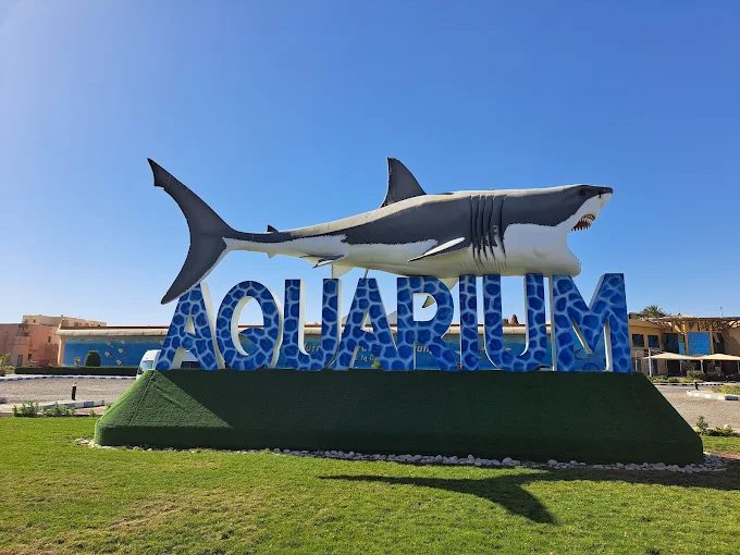 Grand Aquarium de Hurghada – photo 5