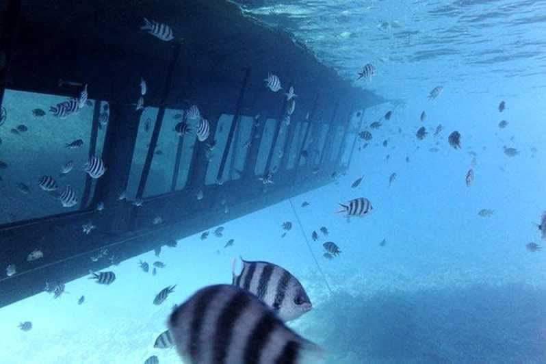 Bateau à fond de verre sur les récifs coralliens – excursion Hurghada
